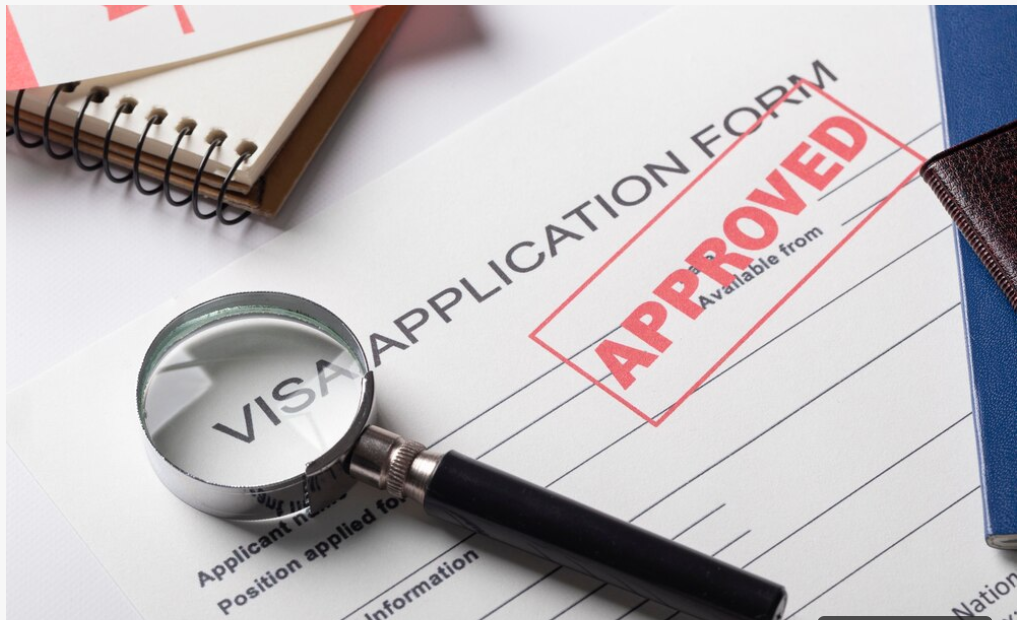 Visa record image Visa record image
