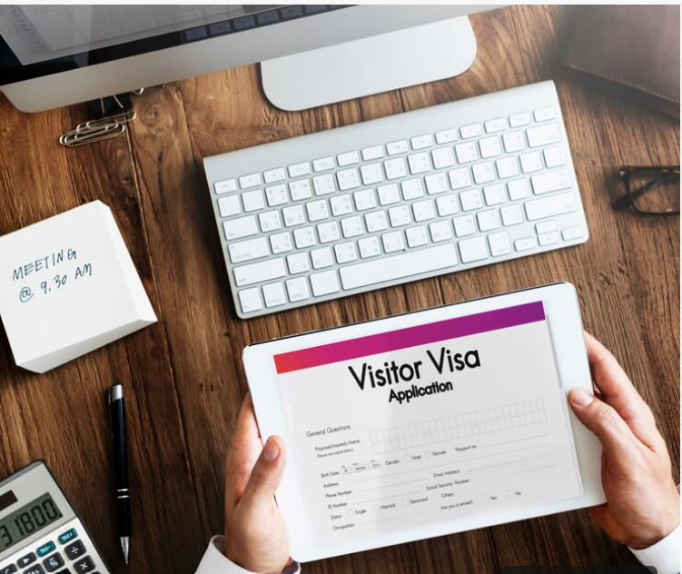 Visitor Visa image